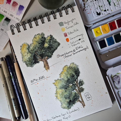 Sketchbook watercolor & liner sketches of two olive trees of very different shape, surrounded by brushes & other paintings utensils. 