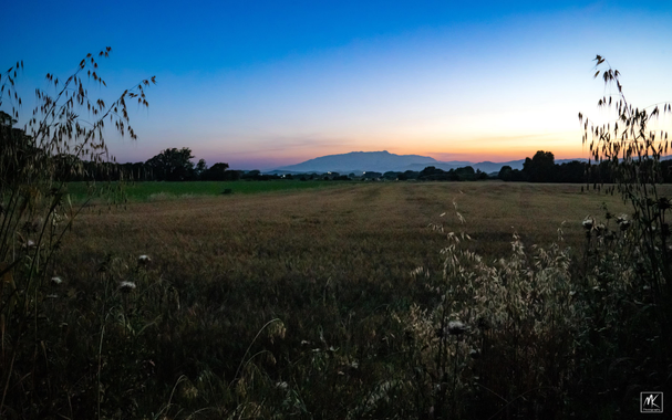 Color photo of fields lit by a clear post-sunset sky with tall weeds in the foreground framing the scene and a distant mountain silhouetted against the colored horizon.