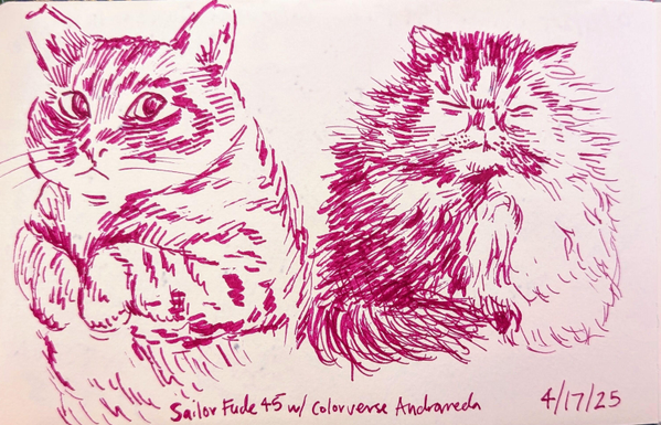 Sketchbook page with two cats drawn with a Sailor Fude 45 with Colorverse Andromeda ink. The left cat has his paws together and is looking sheepishly to the right. The right cat is very fluffy and grumpy, and looks like he just woke up. At the bottom is handwritten text "Sailor Fude 45 w/ Colorverse Andromeda" and "4/17/25."