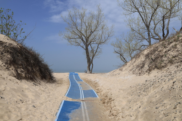This is a landscape photo taken along an accessible access way to a beach on a larger lake.  The accessible pathway material has been placed on top of the sand. It is blue in colour and extends from the foreground to the middle of the photo. Sandbanks are on each side with some grasses growing. A few deciduous trees which are starting to bud can be seen on the right side of the photo. The sky is blue with some white clouds visible. 