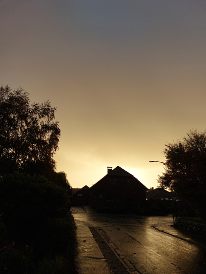 A morning scene with a sky glowing yellow. The sun sits low behind a house in the centre of the picture, making it look like a black, cut-out silhouette with a halo. Dark trees flank in on the right and left. The road in the foreground runs straight towards the house, glistening wet with rain and reflecting the yellow glow of dawn. An otherworldly, tranquil atmosphere. Silence.