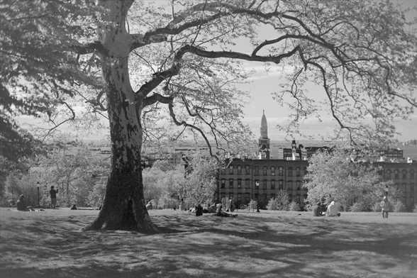 A tree and lawn framing an industrial landscape below, showing a unique church tower