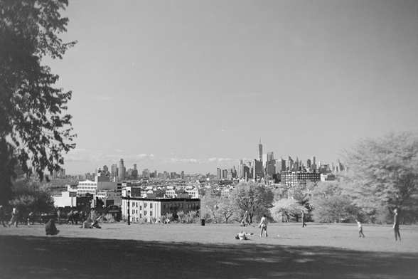 Park with many people playing, with the Manhattan and Jersey City skyline in the distance