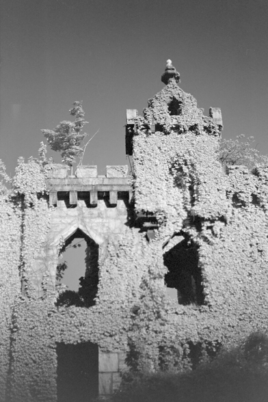 Ruins of an old hospital building with 2 stories covered in ivy in IR. The ivies light up white with Wood effect while the sky is darker.