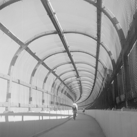 Metal wire frame forms a tunnel over a bike path. A man was riding a road bike down the slope towards me.