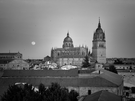Es una captura en blanco y negro del perfil de Salamanca, donde destaca de forma imponente la Catedral Nueva con su característica torre del campanario a la derecha y su gran cúpula o cimborrio en el centro.
A la izquierda de la imagen se puede apreciar el perfil de otro edificio histórico de la ciudad (el Convento de San Esteban) y, flotando en el cielo a media altura, destaca una brillante luna llena que le añade un toque mágico y nostálgico a la composición. En primer término se observan los tejados tradicionales de las casas y las copas de algunos árboles, lo que le da una fantástica profundidad a la escena.