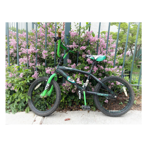A bicycle with a green frame and seat leans against the vertical green bars of a community garden fence. Pushing through the bars behind it is a leafy lilac bush bursting with purple blossoms. More of the garden greenery can be glimpsed in the background.