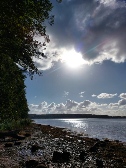 Seascape. A high, dark blue sky with a line of white cumulus clouds on the horizon. In the centre of the photo, the sun breaks through a cloud and is reflected on the water. A beach lined with tall, dark trees, featuring pebbles and stones in the foreground, slopes gently to the left. The glaring sunlight creates stark chiaroscuro contrasts. An arrow-like spectral effect from the camera runs straight through the sun.