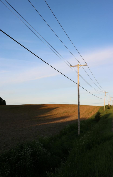 Photograph of a rural landscape, showing a field with turned brown earth and some green shoots, partly in the shade of trees on the left and still in the sun on the right. In the foreground, a series of poles and electrical wires planted in a ditch bordering the field cross the photo, in the light of the sunset and against a sky that is still very blue. The ditch is almost in the dark and it is covered with green plants with yellow and white flowers.

Photographie d'un paysage rural, montrant un champ avec la terre retournée brune et quelques pousses vertes, en partie dans l'ombre des arbres à gauche et encore au soleil à droite. À l'avant-plan, une série de poteaux et de fils électriques plantés dans un fossé bordant le champ traverse la photo, au soleil couchant et contre un ciel encore très bleu. Le fossé est dans la pénombre et il est couvert de plantes vertes avec des fleurs jaunes et blanches.