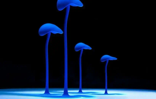 Blue shapes, reminiscent of toadstools, are actually paint dropped into water, captured by photographer Mark Mawson.