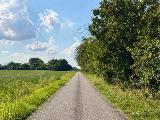 Sometimes you want noise. Sometimes you want silence. Sometimes you want to make noise, only to hide in the silence afterwards. At least for a little while.
Here is today's walk: a long and quiet country road, with swallows all around and celebrating, trees in full bloom, and a gentle warmth accompanying every single step.