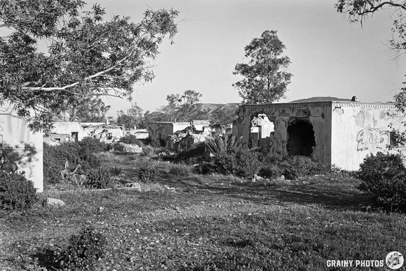 A desolate landscape featuring crumbling buildings overgrown with vegetation. The scene captures a sense of abandonment, with graffiti on the walls, surrounded by trees and sparse grass, set in black and white for a more dramatic effect.