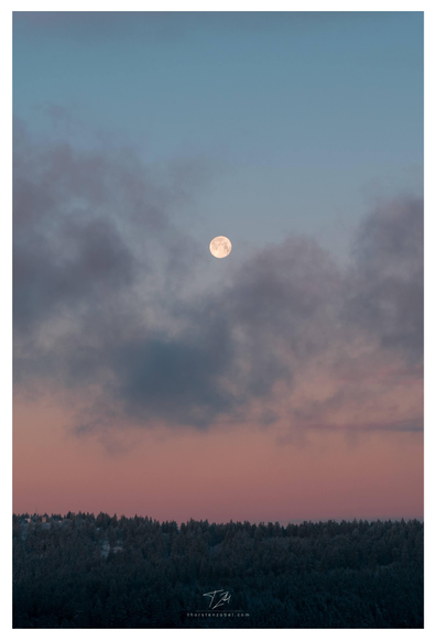A cloud-covered full moon hangs over a snow-covered forest. The sky ranges in color from reddish at the horizon to blue higher up.