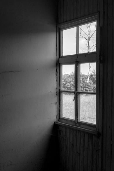 Fenster mit vier Scheiben in einer Holzwand, durch das draußen Bäume und Gras sichtbar sind.