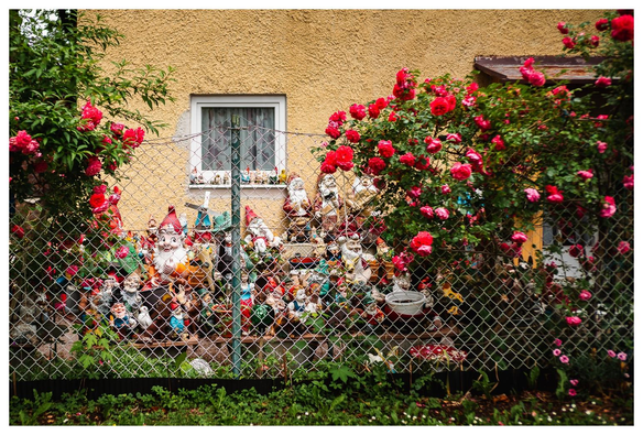 Eine Armee unterschiedlich großer relativ verwitterter Gartenzwerge steht an einem Haus hinter einem Maschendrahtzaun. Einige der Zwerge sind so verwittert, dass sie keine Augen mehr haben. Das gibt ihnen ein etwas unheimliches aussehen.