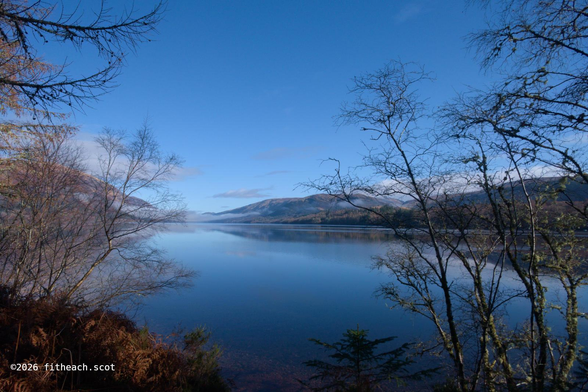 A bright blue sky over the loch. In the distance, on the far shore, are mountains with mist that the sun hasn't yet burnt away. In the foreground are several still leafless trees (except for the conifers).