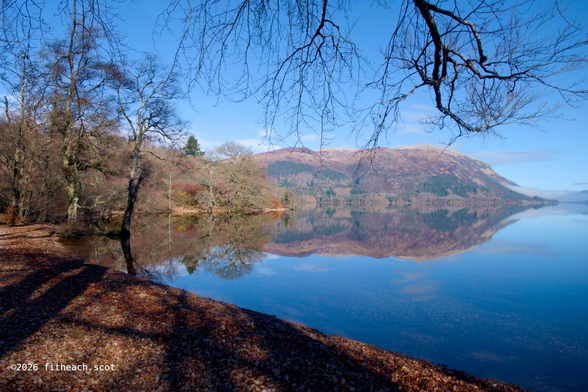 A bright blue sky over the loch. In the distance, on the far shore, is a mountain with mist, that the sun hasn't yet burnt away. In the foreground are several still leafless trees. The loch is still, and there is a perfect reflection of the distant mountain.
