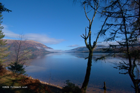 A bright blue sky over the loch. In the distance, on the far shore, are mountains with mist that the sun hasn't yet burnt away. In the foreground are several still leafless trees (except for the conifers). This photo has more foreground as it was taken from a higher vantage point.