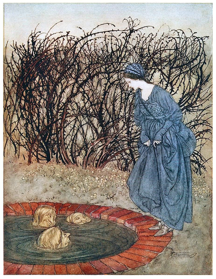 A young woman stands at the edge of a ground-level stone well, speaking to three heads that emerge from the water, with brambles visible in the background.