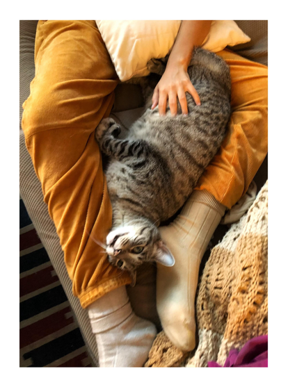 Photo looking straight down at my gray tabby Max (dearly missed), lounging between the legs of a person reclining on a couch. Max lies on his side and looks up at the camera. The person reaches one hand over a pillow on their pelvis so that they can run their fingers over Max’s striped belly. The camera is oriented so that Max is aligned vertically and appears upside down. The image is in warm earth tones, dominated by the brown-orange of the person’s corduroy pants as well as the varying browns and reds of the couch, patterned carpet, and rumpled afghan blanket surrounding Max and his human.