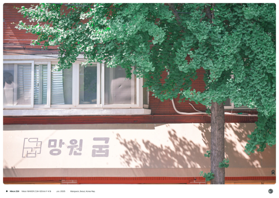 주황색 벽돌 건물 앞으로 나무가 그늘을 만들고 있는 모습.