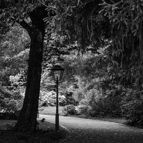 Man sieht einen Weg, der durch eine Parkanlage führt. Links vom Weg steht im Schatten eines Baumes eine alte Straßenlaterne. Rechts vom weg sind dichte, große Sträucher zu sehen. Das Foto ist in Schwarzweiß.