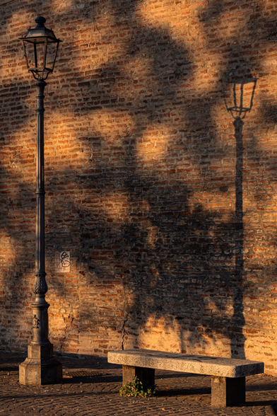 This is a photograph of a sunlit brick wall and on it there intricate shadows of a black ornate lamppost and tree leaves. There is a simple stone bench with a slightly worn texture sits on a cobblestone ground in the foreground.