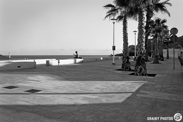 A tranquil coastal promenade features palm trees casting shadows on the pavement. In the distance, a person sits quietly near the water, with the ocean horizon visible under a clear sky. The scene evokes a peaceful and serene atmosphere.
