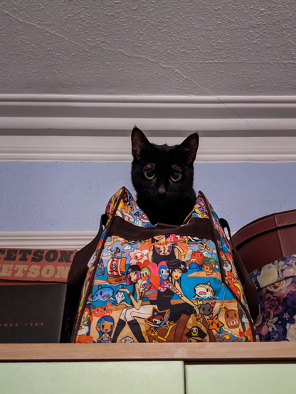 A close-up shot of a black cat sitting inside a colorful, open tote bag that is placed high up on a wooden shelf near a white ceiling with crown moulding. The vibrant bag features cartoon Pirate themed Tokidoki characters and is flanked by hat boxes on either side. The cat's head is popping out of the bag and she is staring directly down at the camera with wide, curious eyes.