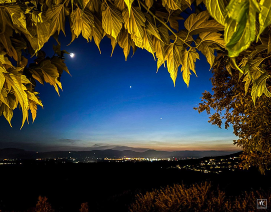 Color photo of the moon, Venus, and Jupiter hanging in a post-sunset sky over a dark landscape with lit arbor leaves overhead. 