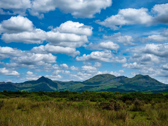 The peaks of Eryri (Snowdonia) National Park rising above flat, grassy marshlands in Porthmadog. The pointed profile of Cnicht stands out on the left, leading into the wide green ridges of the Moelwynion range. The wide sky is bright blue and crowded with fluffy white clouds.