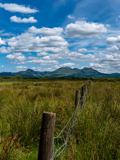 The peaks of Eryri (Snowdonia) viewed from a grassland in Porthmadog. In the foreground, a wire and wooden post fence runs through tall green marsh grass. In the background, the rolling peaks of the Moelwynion mountains, including the pointed Cnicht on the left and the Moelwyns, Mawr and Bach, to the right. The wide sky is bright blue and filled with fluffy white clouds.