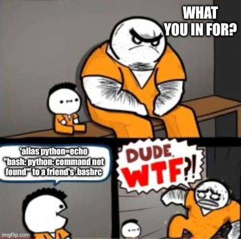 This is meme about Linux or Unix CLI especially alias feature offered by bash.  An inmate in prison asks a small fellow inmate, "What you in for?" The small inmate replies that they added 'alias python=echo "bash: python: command not found"' to a friend's .bashrc file. The large inmate backs away in terror, yelling, "Dude, WTF?!"