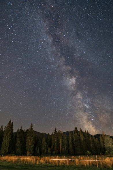 The Milky Way Amid Mountains and Coniferous Forests.