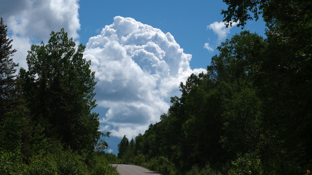 Eine Strasse führt durch Wald einen Berg hoch. Oben hat sich eine riesige Wolke aufgebaut.
