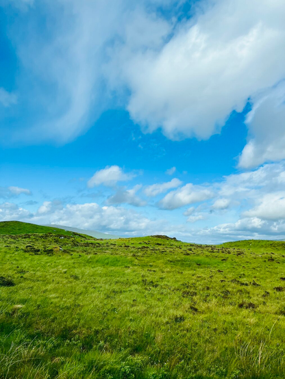 looking out across a vibrant green meadow to a blue sky with puffy clouds