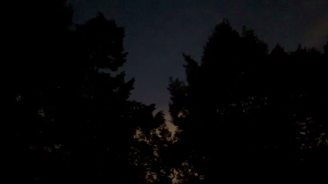 34-second video of the silhouettes of trees massed against a summer evening sky, with the day’s last glow fading at the horizon. Lightning flashes a couple of times. As the view slowly pans from right to left, we see many little sparks and momentary streaks: fireflies lighting up as they travel through the dark. Shot on a recent trip to Lancaster County, PA.