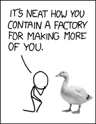 An edit of a classic XKCD strip, where a stick man is kneeling in front of a stick woman and saying "its' neat how you contain a factory for making more of you". IN the edit, the stick woman has been replaced with a goose.