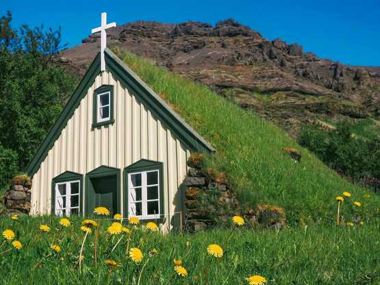 An off-white coloured church with turf roof and green door and window frames, yellow dandelion flowers among the grass in the foreground and a rocky mountain in the background under clear blue skies.