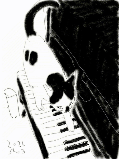 un chat marche sur les touches du piano