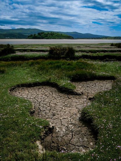 A scenic view of a coastal estuary in Wales. In the foreground, a distinct depression of cracked, dried mud forms a "Y" shape. The mud pan is surrounded by a vibrant green marshland dotted with tiny pink flowers. In the background, the island of Ynys Gifftan can be seen, backed by distant mountains under a partly cloudy blue sky.