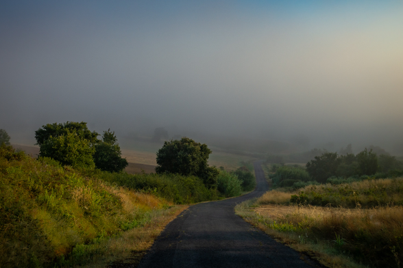 country road winding a hill into fog in ribatejo portugal