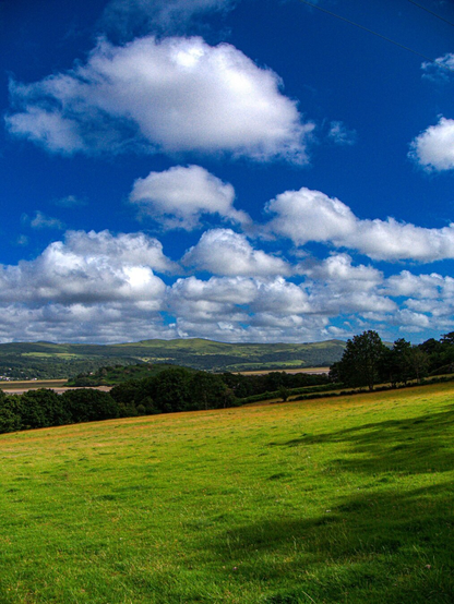 A sunny landscape featuring a lush green grassy field under a deep blue sky filled with puffy white clouds. The field slopes gently downward toward a dense line of trees, which separates it from an estuary at low tide and distant rolling hills.