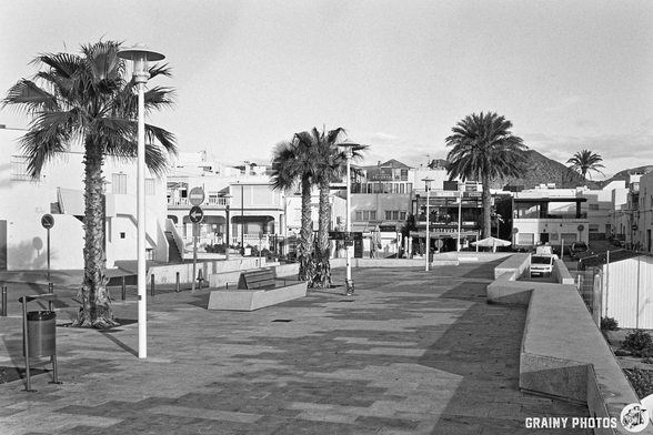 A serene pedestrian walkway lined with palm trees, featuring benches and lamp posts, leads towards a backdrop of white buildings and distant mountains, all captured in black and white.