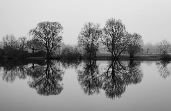 Auf dem Foto sieht man das gegenüberliegende Ufer von einem kleinen See. Die Bäume die direkt am Wasser stehen, spiegeln sich auf der glatten und ruhigen Wasseroberfläche. Das Foto ist in Schwarzweiß.