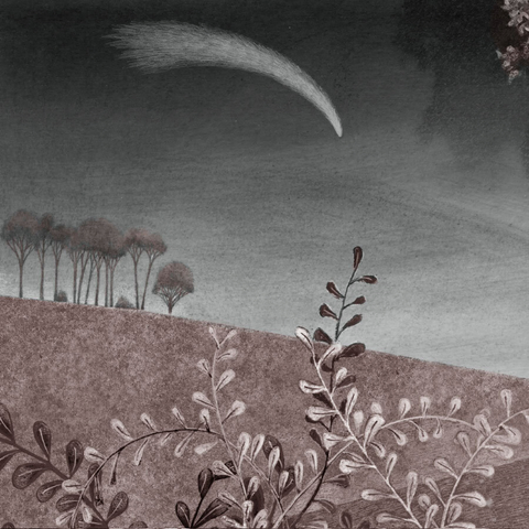 Using a limited palette of gray/blues and muted red/brown, a pencil drawing of a tiny owl, standing at the edge of a forest. Before it, a glowing door. In the distance, rolling hills, a stand of trees and a passing comet. (partial image)