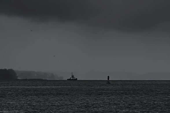 Im Vordergrund das kabbelige Wasser der Flensburger Förde. Eine Tonne markiert das Fahrwasser. Dahinter fährt ein Hafenschlepper nach rechts durch das Bild. Am anderen Ende der Förde sind die Wälder im deutsch-dänischen Grenzgebiet zu sehen, hier in Höhe Wassersleben - Krusau. Die Wolken hängen tief, unten über dem Boden noch etwas heller, weiter oben aber schon dunkelgrau vom drohenden Regen. Einige Möwen tummeln sich im Himmel über dem Schlepper. 