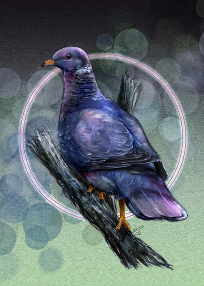 Illustrated pigeon, perched on a branch against a paper texture with a bokeh lighting effect behind it and a halo of white light. Predominant colors are purples, blues, and greens.