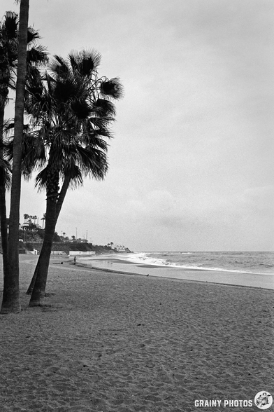 A black and white coastal scene featuring palm trees along a sandy beach with gentle waves lapping at the shore, under a cloudy sky. A lone figure walks near the water's edge, capturing a serene and tranquil atmosphere.