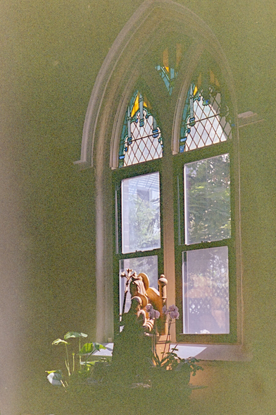 Grainy and noisy photo of a Gothic window, with soft light cast on a statue of Virgin Mary holding baby Jesus next to some orchids